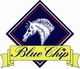 BLUE CHIP PONY NEWCOMERS SECOND ROUND AT THE HAND BLUE CHIP PONY NEWCOMERS SECOND ROUND AT THE HAND